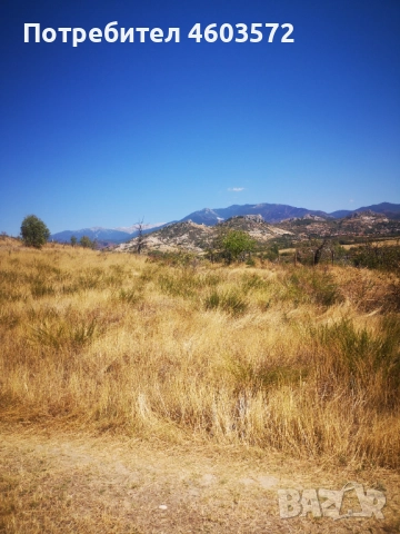 Собственик продава 3 броя парцели, снимка 9 - Парцели - 51817495