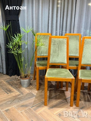 Столове за трапезна маса - масив/ отлични , снимка 2 - Столове - 53052100