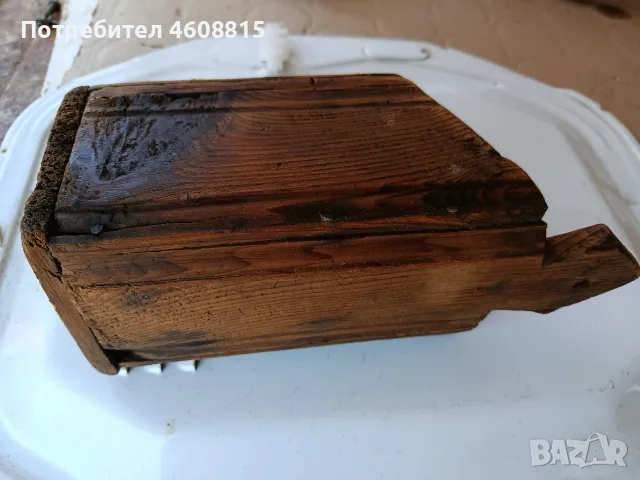 Стогодишен лъжичник , снимка 3 - Колекции - 55752768