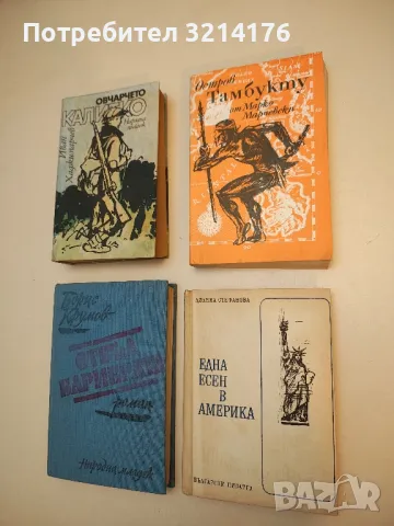 Една есен в Америка - Лиляна Стефанова