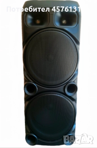 Караоке тонколона 2 х 12" с два микрофона, снимка 2 - Тонколони - 51496718