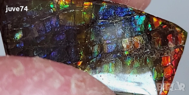 МНОГОЦВЕТЕН АМОЛИТ (АЛБЪРТА,КАНАДА) 35х17.8 мм, снимка 2 - Други - 53118642