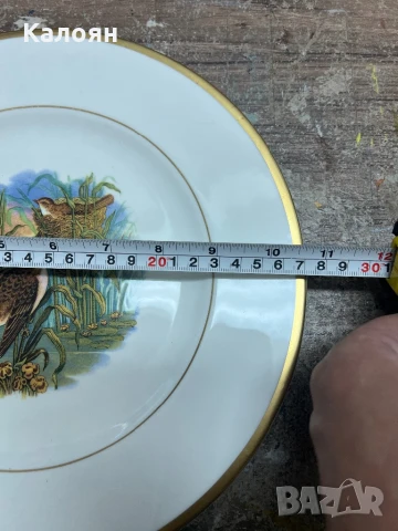 Порцеланова чиния с рисунка на птици колекционерска , снимка 4 - Колекции - 50529728