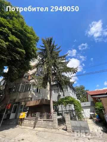 Премахване и кастрене на опасни дървета, снимка 4 - Други услуги - 49334998