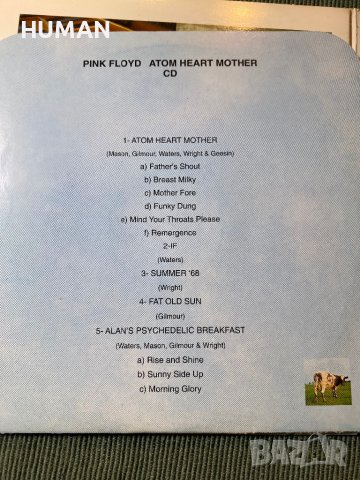 Pink Floyd , снимка 9 - CD дискове - 42249773