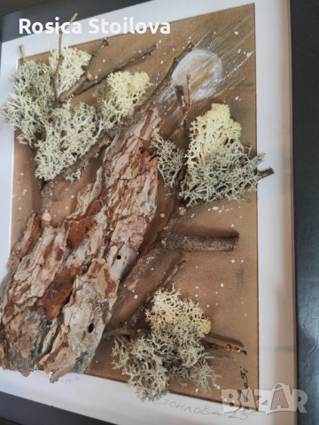 3D картина "Пълнолуние", снимка 3 - Картини - 53039545