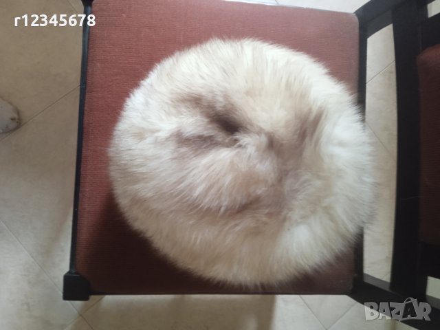 Продавам комплект дамска шапка и яка, снимка 4 - Шапки - 30873330