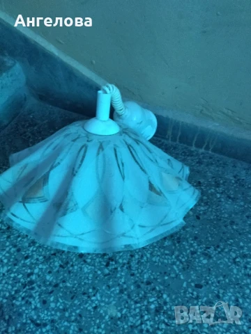 Полюлей , снимка 3 - Полилеи - 51289488