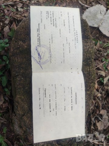 продавам карта за почивка НРБ 1981, снимка 2 - Колекции - 44238284