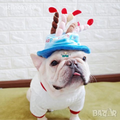 Кучешка шапка за рожден ден Шапка за рожден ден на домашен любимец Шапки за кучешки рожден ден, снимка 2 - За кучета - 27063296