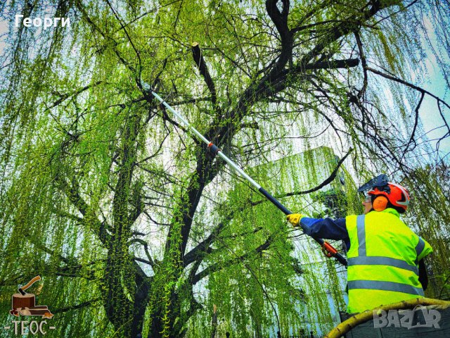 Почистване на запустели обекти, дворни места и терени, снимка 5 - Почистване на домове - 41573952