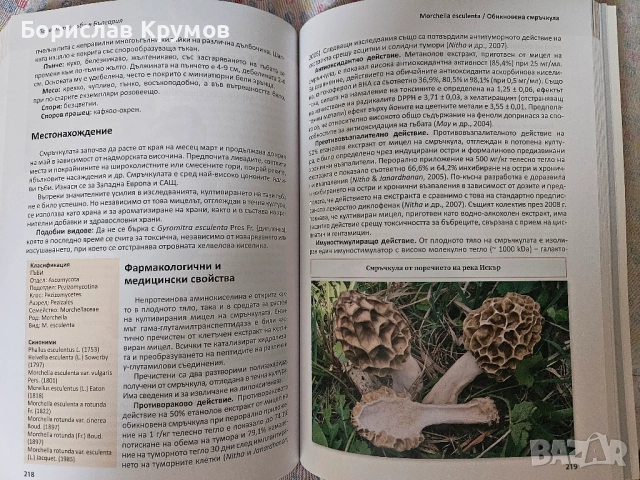 Лечебните гъби в България - Владимир Въжаров, снимка 2 - Енциклопедии, справочници - 52776002