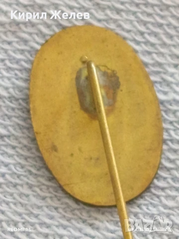 Пет значки стари редки CASTELLA,REVILAC,RADION за КОЛЕКЦИЯ ДЕКОРАЦИЯ 12210, снимка 5 - Колекции - 50862186