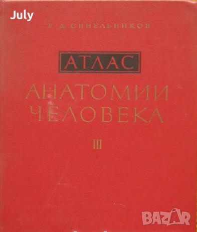 Атлас анатомии человека, Том 3,  Р. Д. Синельников