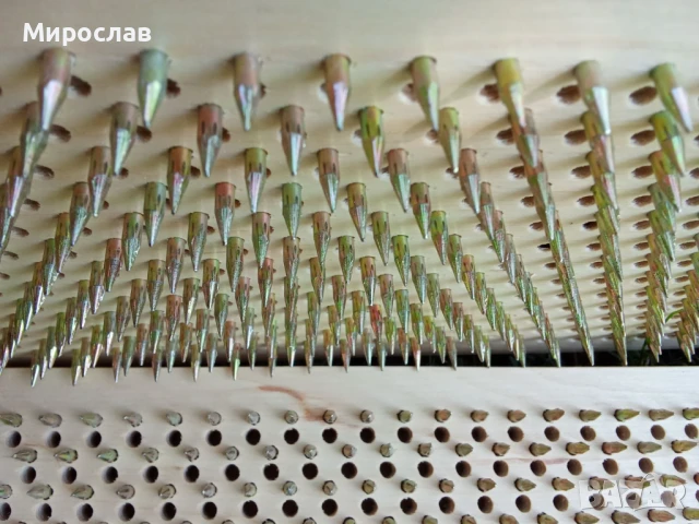 Садху за гвоздестоене с пирони , устойчиви на корозия, за напреднали през 11мм., снимка 2 - Йога - 51309535