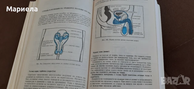 Желание за дете, снимка 4 - Специализирана литература - 51428800