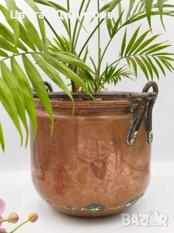 Голямо холандско медно , ковано котле, снимка 3 - Антикварни и старинни предмети - 51570392