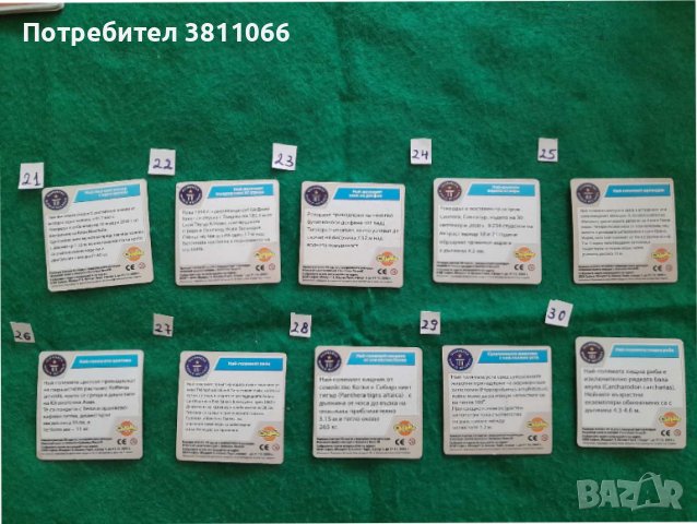 Record of Gines cards/ Карти от кроасаните чипикао-Рекордитe на Гинес, снимка 4 - Колекции - 44811370