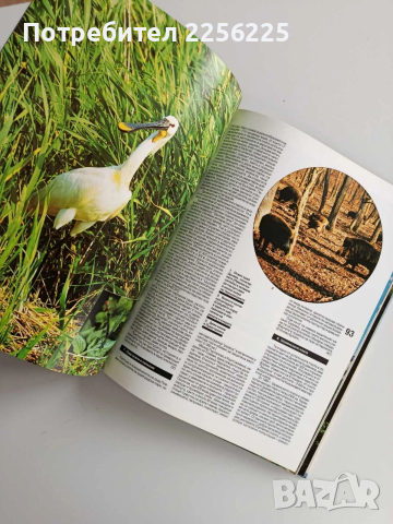 България - Природно наследство, снимка 2 - Енциклопедии, справочници - 52865713