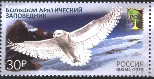 Чиста марка Арктически резерват Фауна Птица Сова  2018 от Русия 