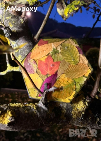 Картина от епоксидна смола "Парченце есен" 