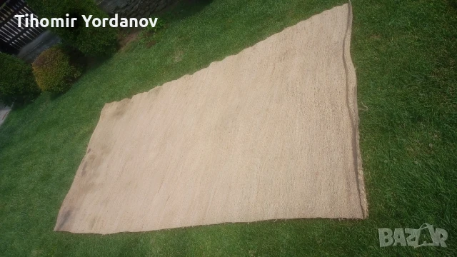 Рогозка.( царевична шума)., снимка 16 - Антикварни и старинни предмети - 50785820