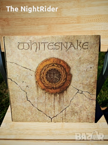 Грамофонна плоча