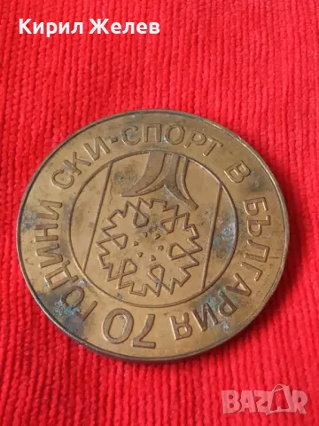 Рядък плакет от соца 70г. СКИ СПОРТ В БЪЛГАРИЯ бронзов за КОЛЕКЦИОНЕРИ 47290, снимка 9 - Антикварни и старинни предмети - 46641125