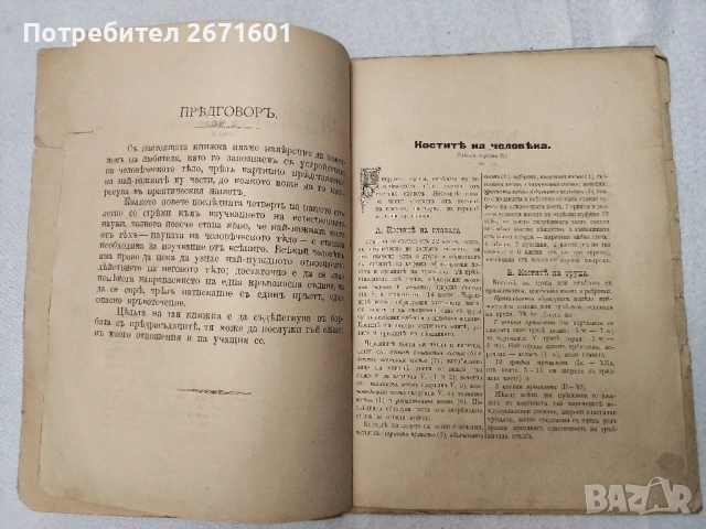 "ЧЕЛОВЕЧЕСКОТО ТЕЛО", написана от д-р Шмид. 1899 г, снимка 3 - Антикварни и старинни предмети - 52217810