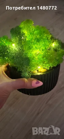 Светеща кашпа със скандинавски мъх , снимка 10 - Декорация за дома - 48169980