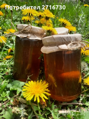 Домашен мед от глухарчета - ценен източник на здраве, снимка 3 - Домашни продукти - 51643611