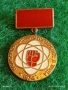 Стара емайлирана значка НАЦИОНАЛНА СРЕЩА с ПЪРВЕНЦИТЕ в ТРУДА за КОЛЕКЦИЯ 53524, снимка 2