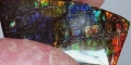 МНОГОЦВЕТЕН АМОЛИТ (АЛБЪРТА,КАНАДА) 35х17.8 мм, снимка 2