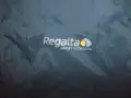 Яке пролет,есен REGATTA  мъжко,Л-ХЛ, снимка 2