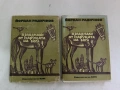 Всички и никой - Йордан Радичков, снимка 2