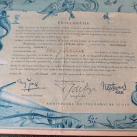 Стар документ за преминаването на екватора на кораба Willem ruys от 22 януари 1957 г.s, снимка 5 - Антикварни и старинни предмети - 41680823