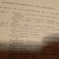 Живите звуци на морето - Н. И. Тарасов, снимка 3 - Художествена литература - 42436772