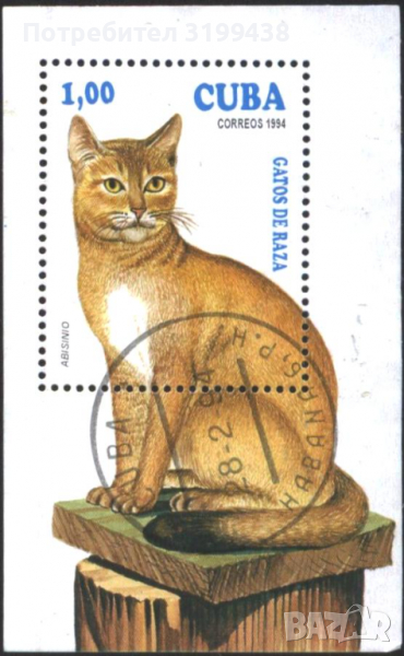 Клеймован блок Фауна Котка 1994 от Куба, снимка 1