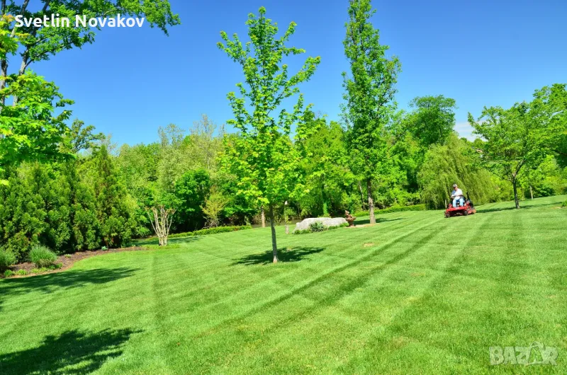 Косене на трева,рязане на дървета,храсти и други плевели, снимка 1