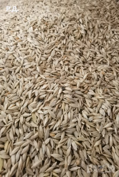 Продавам екологичен Лимец - 2022, снимка 1