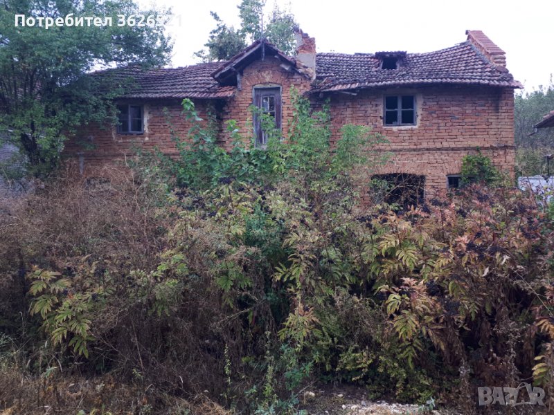 Парцел 540 кв.м. в село Нивянин, община Борован, област Враца, снимка 1