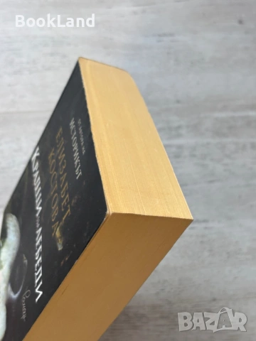 Крадци на лебеди| Елизабет Костова, снимка 4 - Художествена литература - 53719562