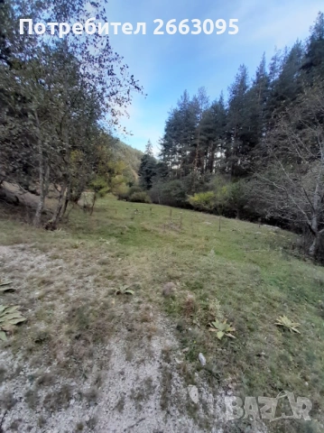 Парцел с. Добърско 