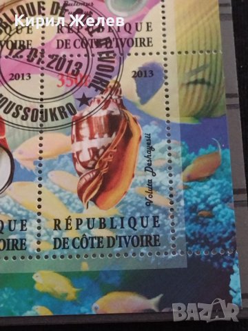 ПОЩЕНСКИ МАРКИ серия МОРСКИ МИДИ поща КОНГО - МИДИ,РАКОВИНИ поща КОТ д ИВОАР 36840, снимка 12 - Филателия - 39915411