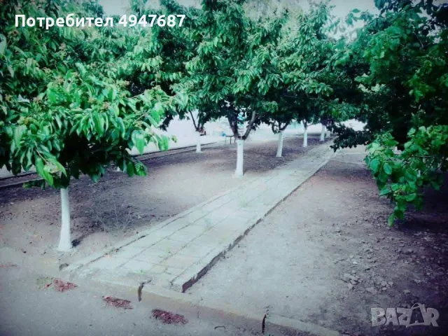 Производствено/складово помещение с двор, снимка 5 - Производствени сгради - 56057006