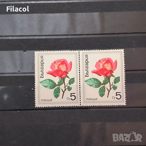 България 1970 флора рози