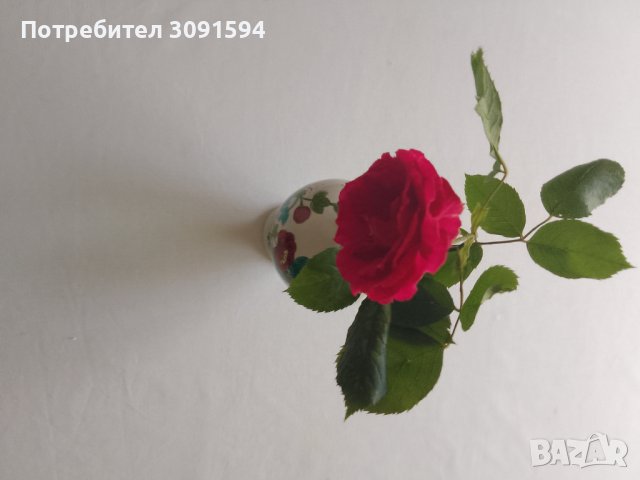 Стара ваза порцелан , снимка 7 - Антикварни и старинни предмети - 40896118