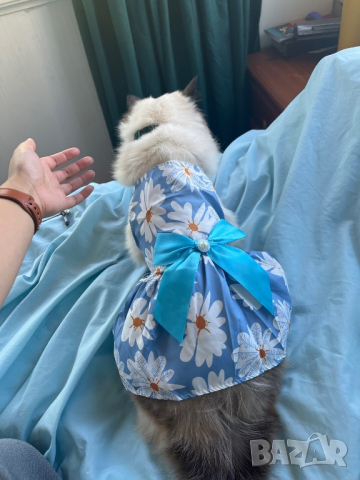 Рокли за кучета и котки. Рокля с панделка за куче и котка. Кучешки рокли. Дрехи за кучета, снимка 9 - За кучета - 34349580