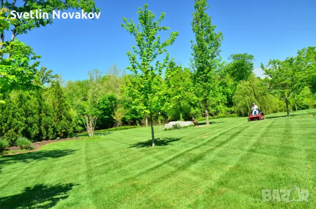 Косене на трева,рязане на дървета,храсти и други плевели
