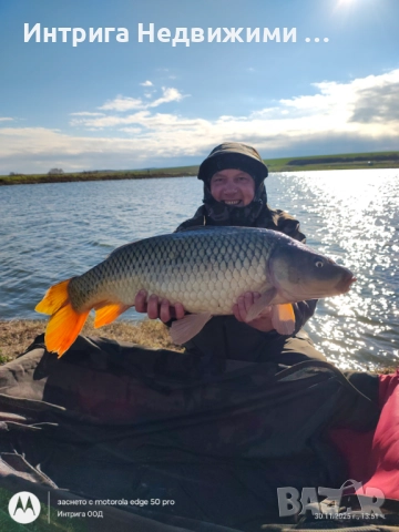 Shimano Tribal TX-5 13ft Intensity, 3.5 lb, снимка 3 - Въдици - 52815557